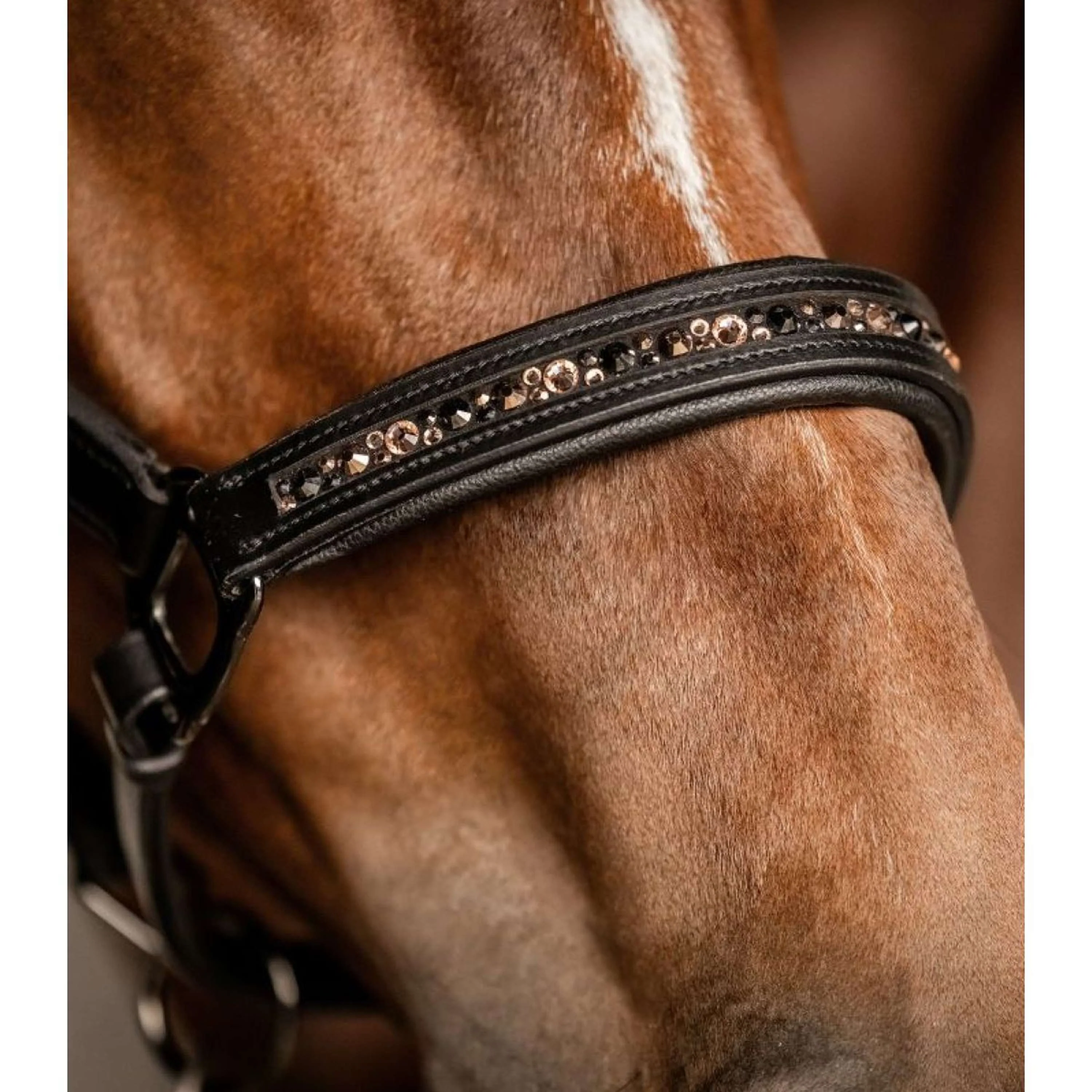 Waldhausen Licol Crystal Cuir Noir/Gris - Image 4