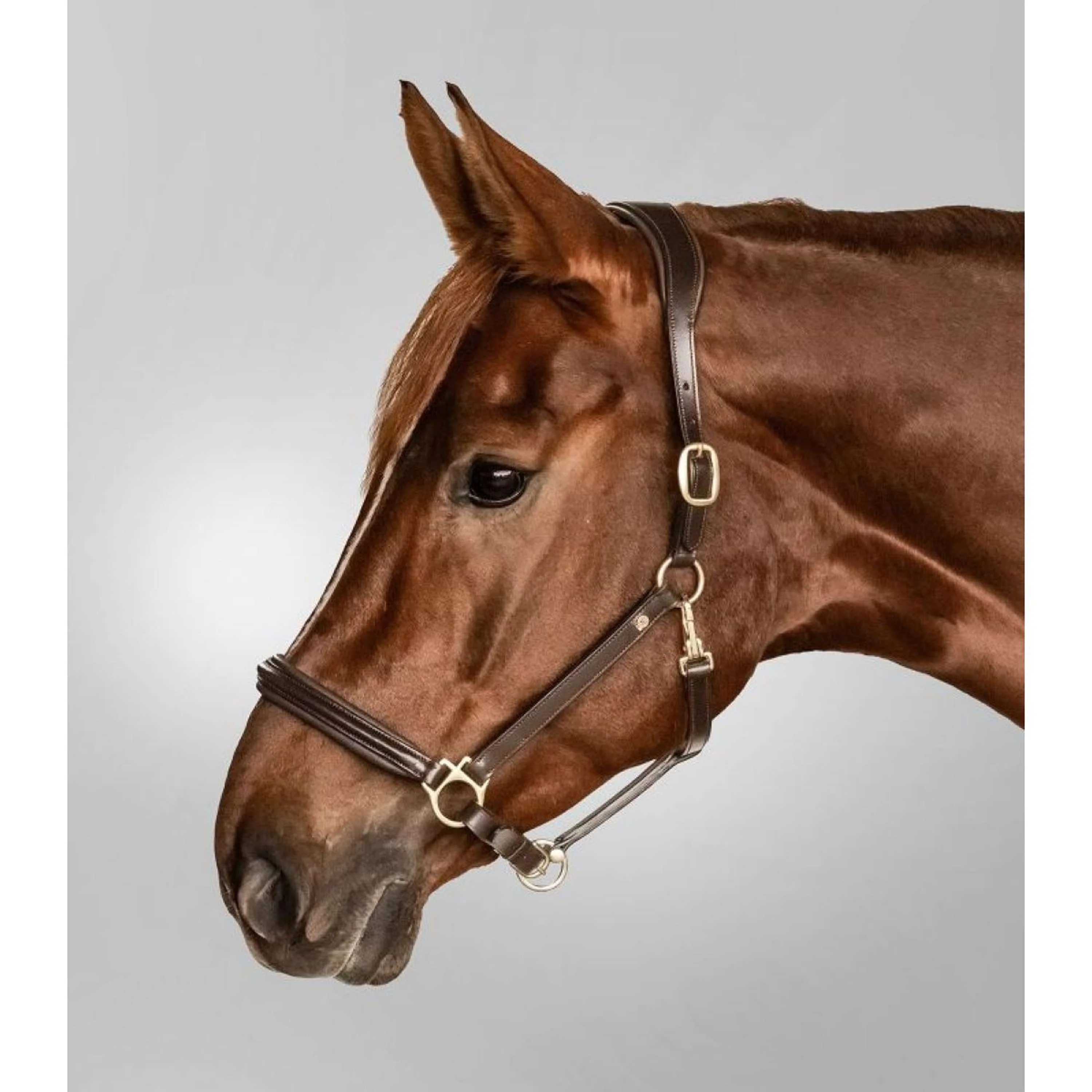 Waldhausen Licol S-Line Classy Marron - Image 3