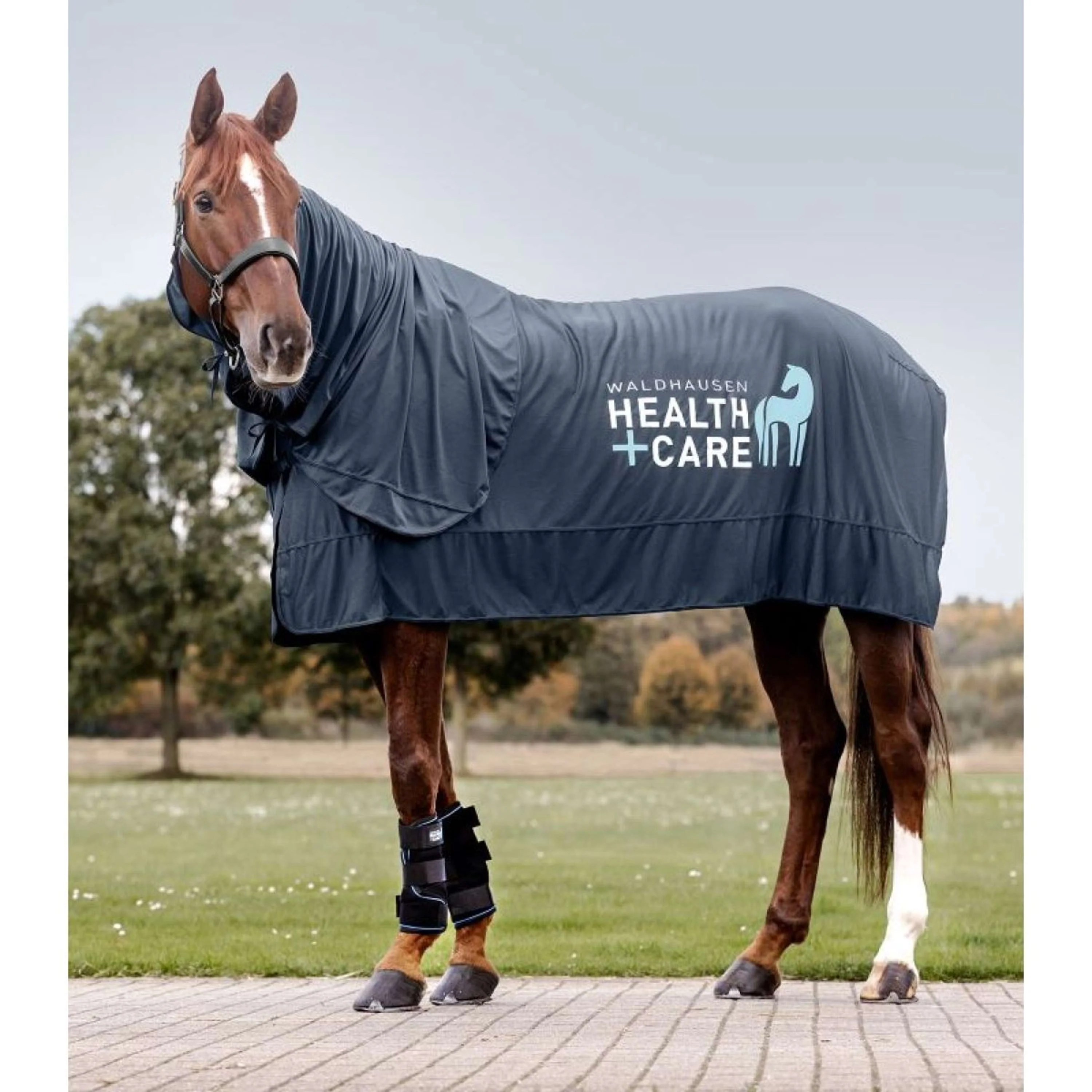 Waldhausen Health + Care Couvre-Cou Ice Layer Bleu Nuit - Image 4