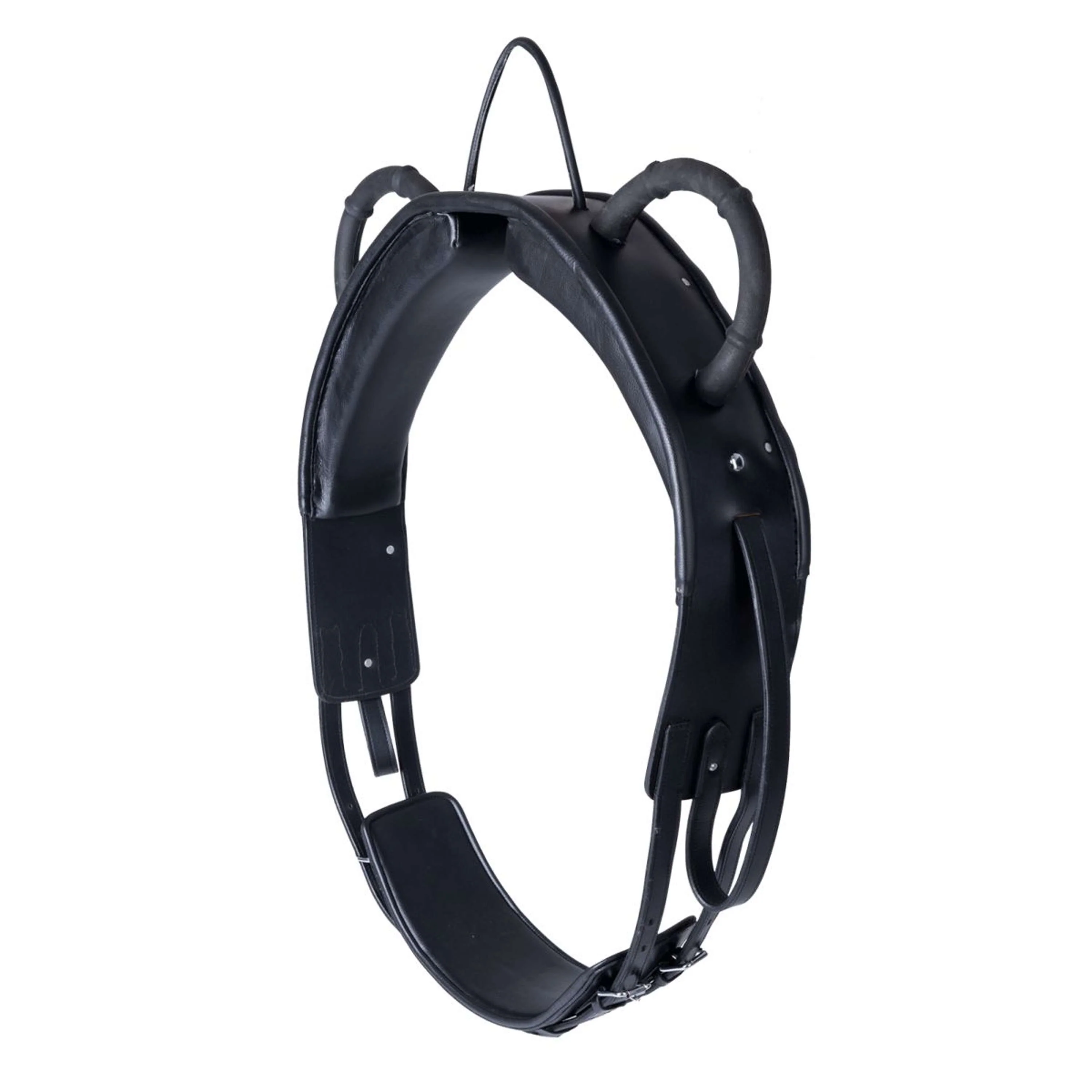 Waldhausen Surfaix de Voltige Training Noir