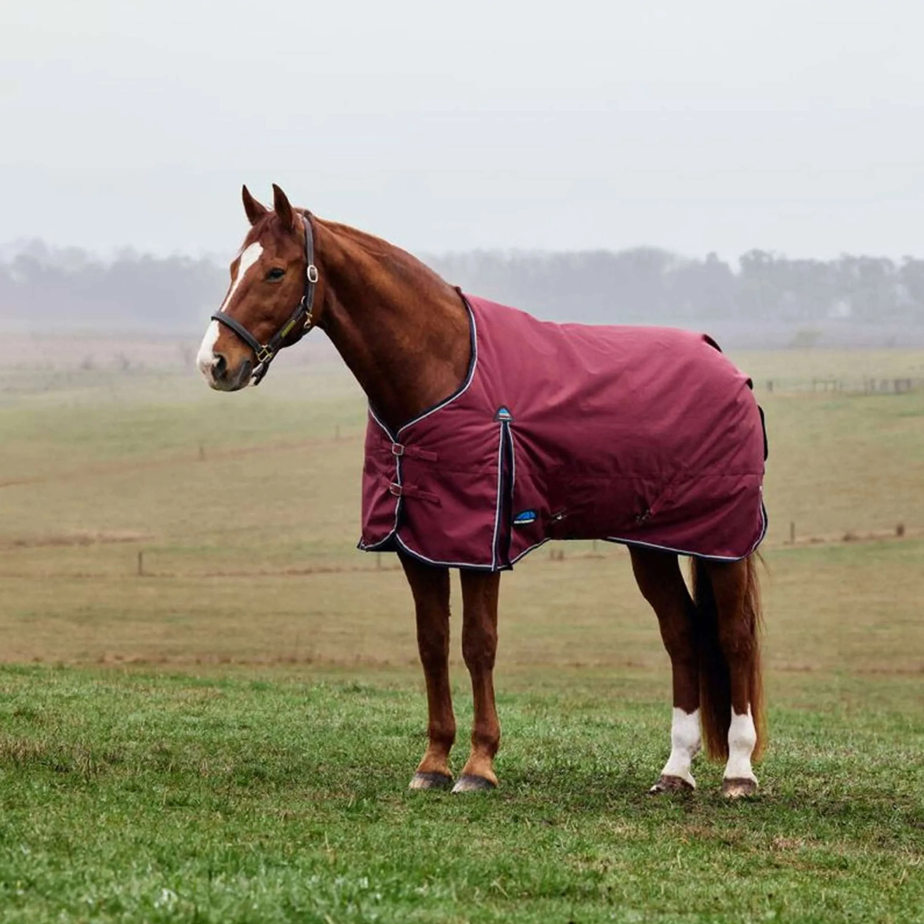 WeatherBeeta ComFiTec Prelim Turnout 0g Bourgogne/Marine