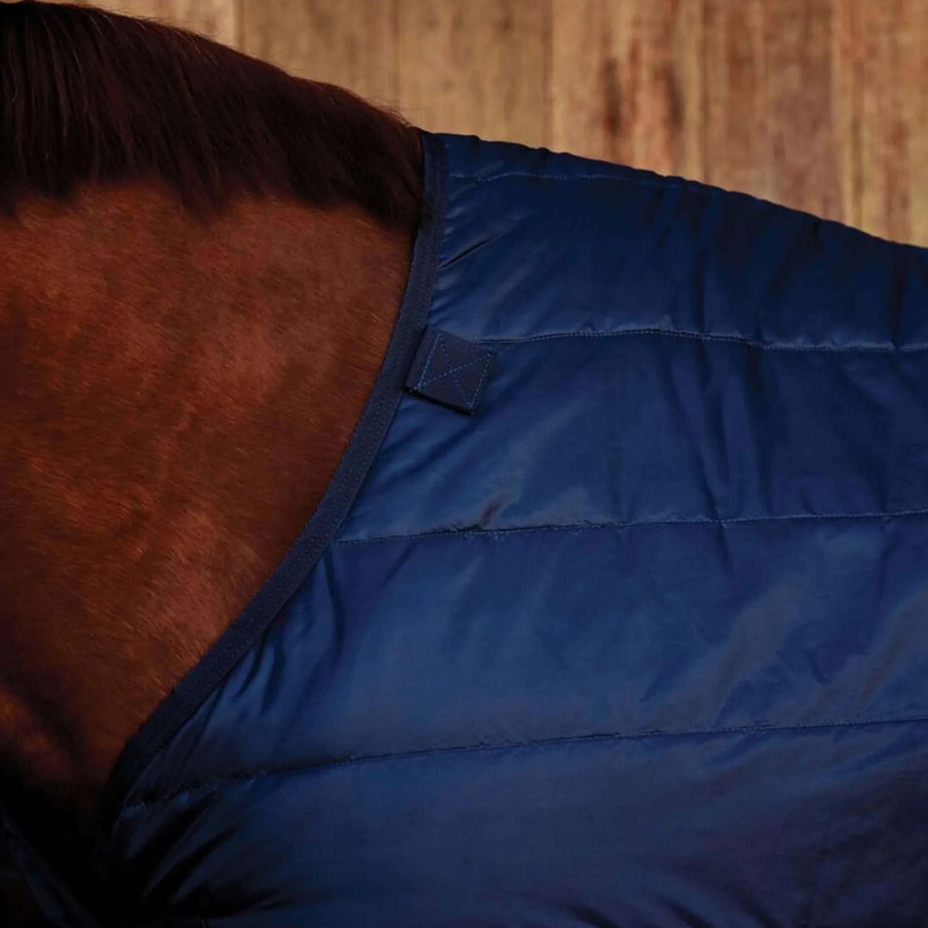 WeatherBeeta Couverture ComFiTec 300g Marin - Image 3
