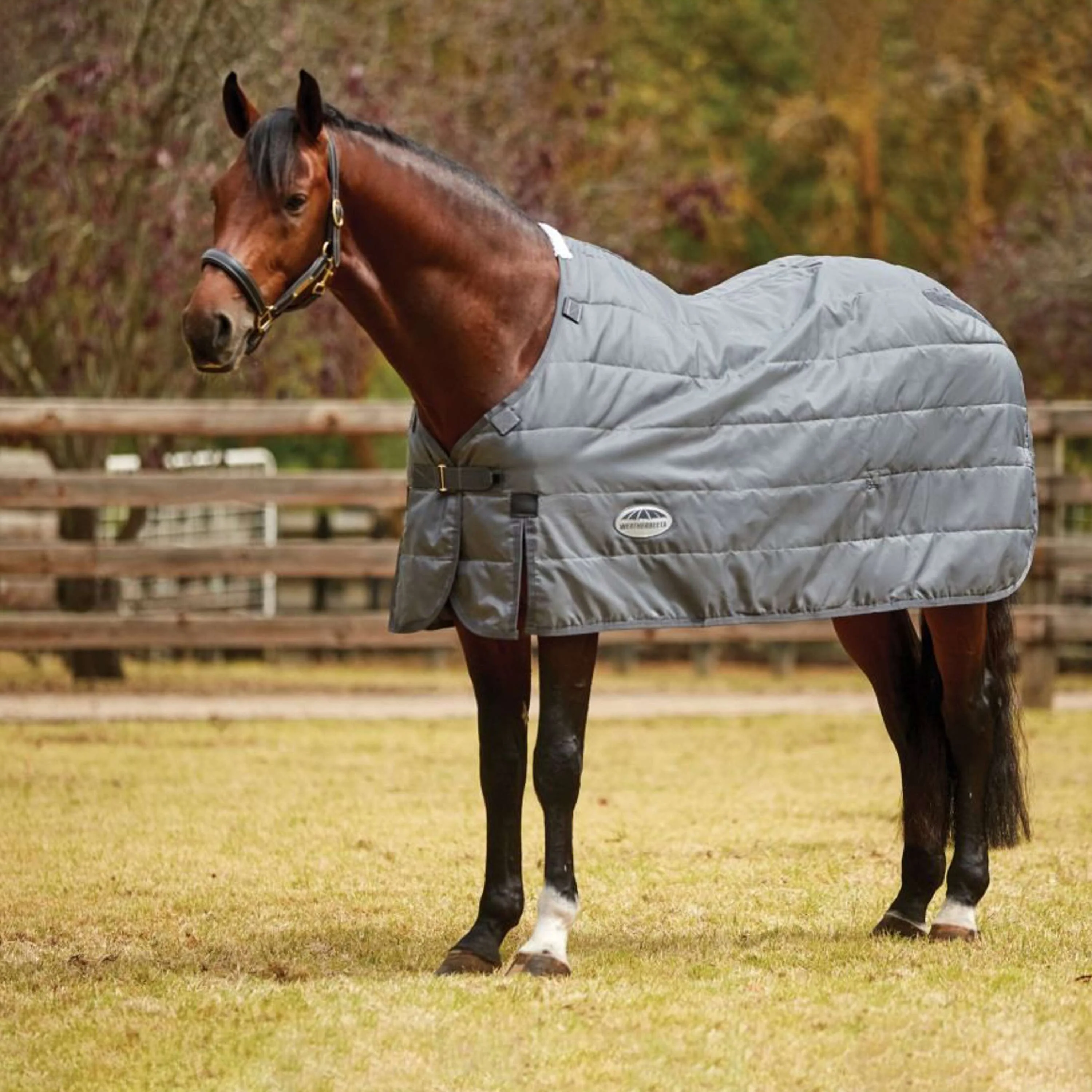 WeatherBeeta Couverture ComFiTec Thermi Heat Medium/Lite Gris