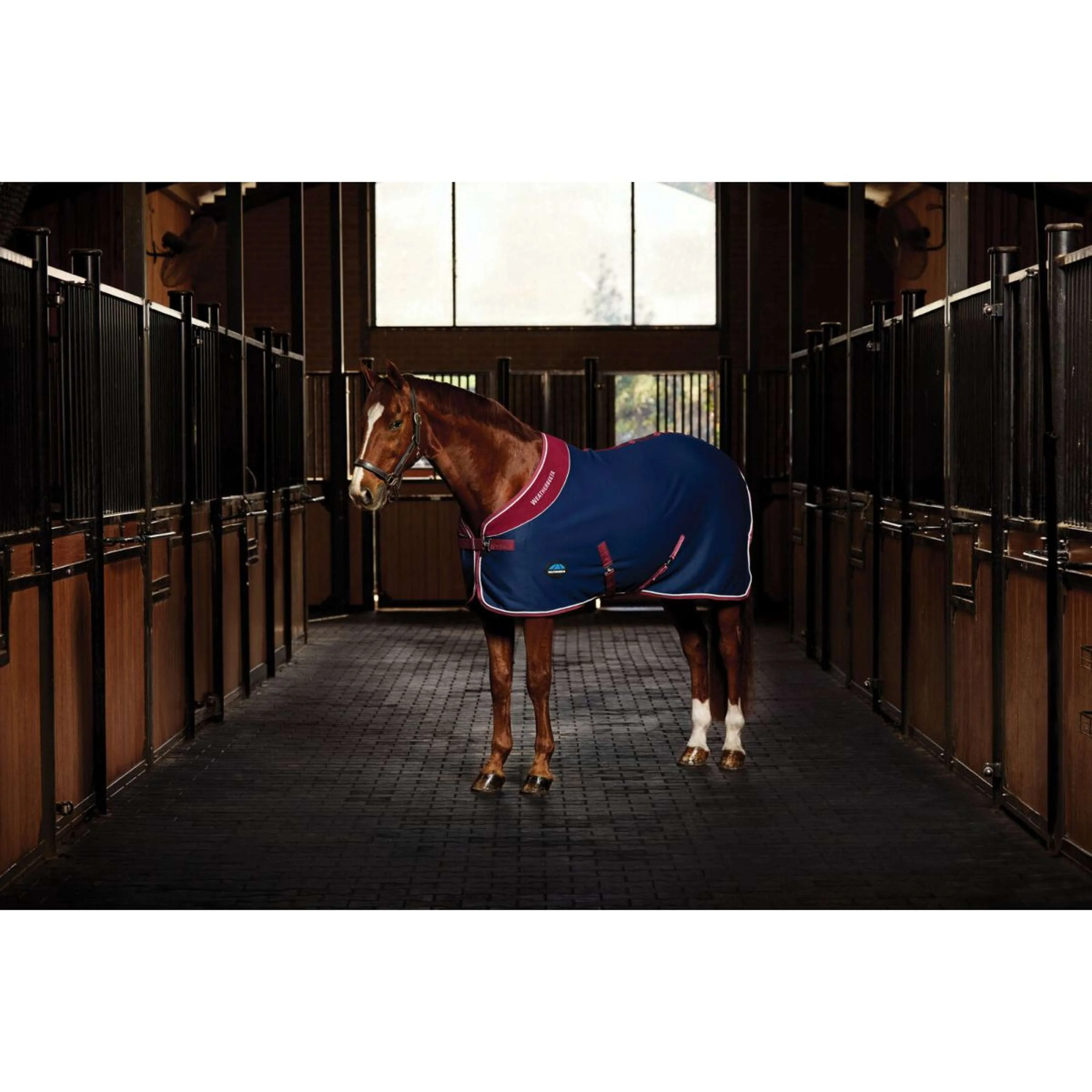 WeatherBeeta Couverture de Concours Opulence Standard Neck Marine/Bordeaux