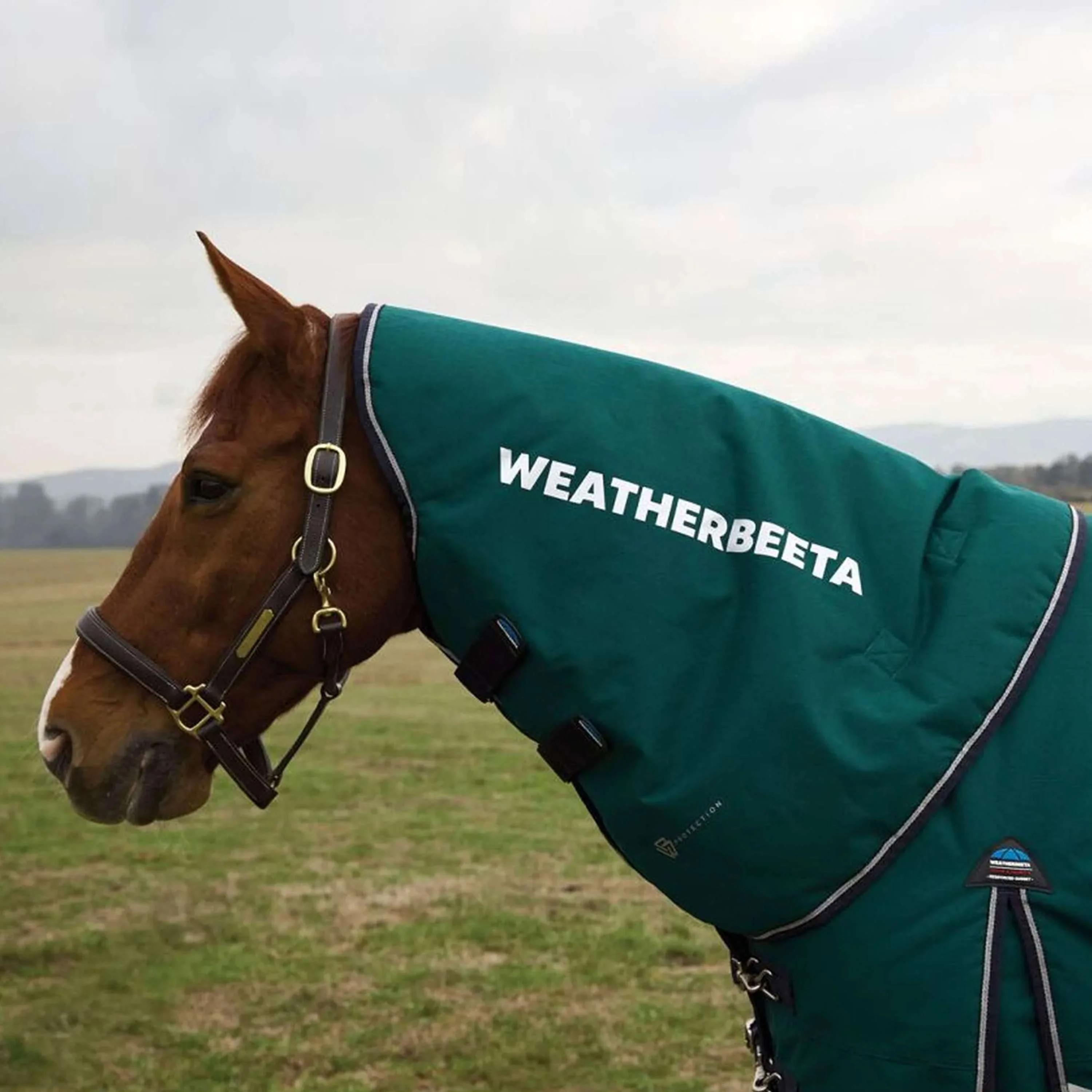WeatherBeeta Couvre-Cou ComFiTec Plus Dynamic Turnout 0g Forest Green/Navy